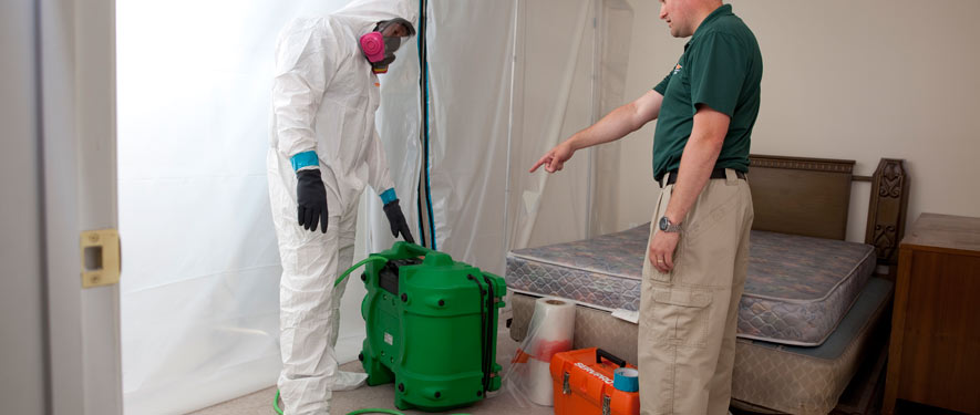 Southaven , MS mold removal process